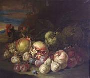Jakob Bogdani Grapes and Peaches painting